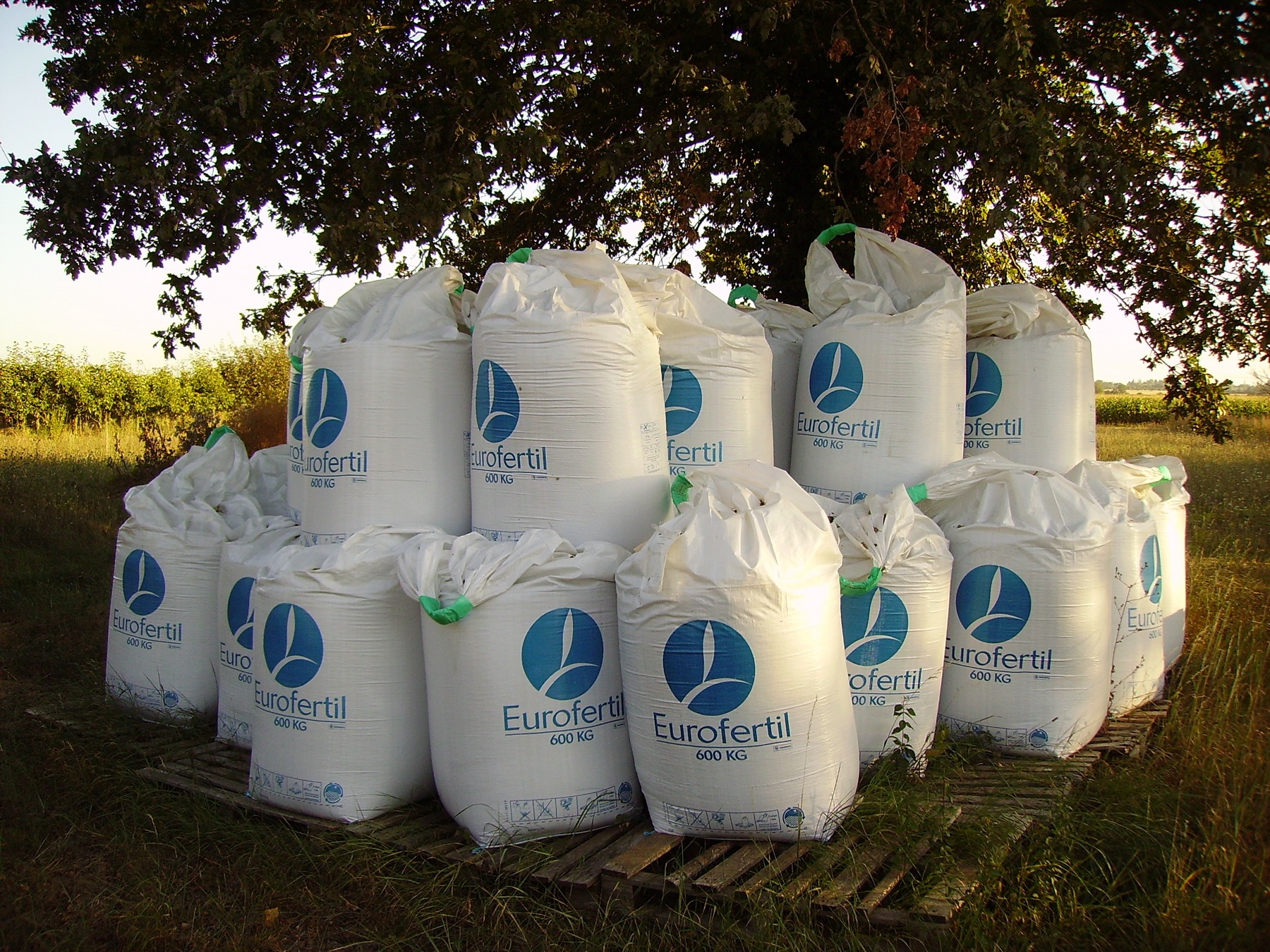 Representative flexible intermediate bulk containers on pallets